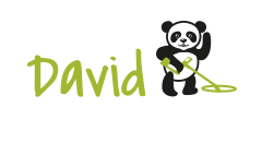 Blog David Detection